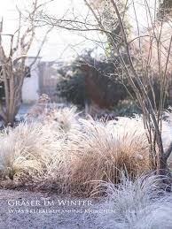 Ornamental Grasses Graser Im Winter Staudenbeet Mir Grasern Im Winter Pflegeleichter Garten Winter Garden Meadow Garden Garden Architecture