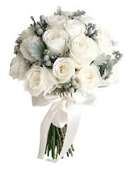 Luxury fall flowers vector bouquet luxury fall flowers vector bouquet. Clip Art Cotton Wedding Bouquet Wedding White Roses Bouquet Transparent Transparent Png Download 5494381 Vippng