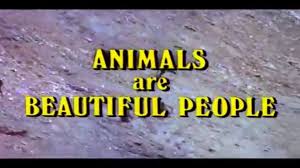 Check spelling or type a new query. Animals Are Beautiful People 1974 Official Trailer Paddy O Byrne Animal Documentary Hd Video Dailymotion