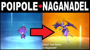 Poipole Evolution Chart Pokemon Favourites By