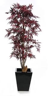 Using natural vine wood (sandblasted on this tree) hand picked from spain and high quality japanese red maple foliage, finished off in a blue 12. Artificial Silk Japanese Maple Tree Ifr Just Artificial