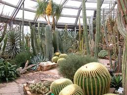 Https Www Berlin De Tourismus Parks Und Gaerten 1356493 1740419 Gallery Html Page 1 Botanischer Garten Berlin Botanischer Garten Garten