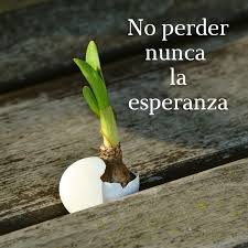 Todos nuestros servicios están destinados a conseguir los fondos necesarios para la autofinanciación de la asociación reto a la esperanza y poder seguir ofreciendo la ayuda social que deseamos. No Perder Nunca La Esperanza Movimiento De Los Focolares