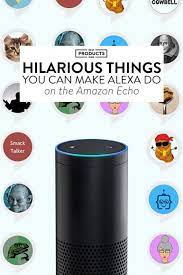 Hilarious Things You Can Make Alexa Do When You Re Bored Af Alexa Tricks Alexa Echo Alexa