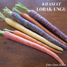 Khasiat lobak merah juga berperanan melindungi kulit daripada sinaran matahari. 7 Kelebihan Lobak Ungu Diet Diet Sihat