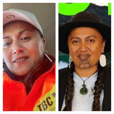 FNDC Councillors' monthly report submission rates in Northland NZ