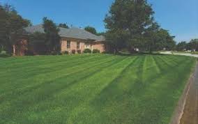 Ask a question about working or interviewing at black diamond pest control. Lawn And Landscaping By Black Diamond Pest Control In Jeffersonville In Alignable
