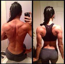 View of the bones of the thorax and shoulders from behind. Pin On Body Inspiration