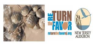 reTURN the Favor Public Walk: Norbury’s Landing