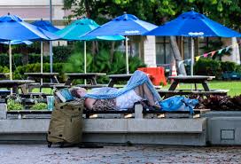 G r e e n e r y {illustrative of flourishing foliage} by @milesredd ⠀. West Palm Gives Initial Ok To Law Targeting Homeless Aesthetics