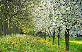 An act of leaping into the air. Fact Or Fiction Spring Fever Is A Real Phenomenon Scientific American