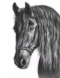 Pencil and paper are very simple things, but creating art with pencil illustrations is anything but simple and when they are this realistic it becomes a technical achievement besides being an artistic endeavor. Realistic Pencil Drawings Of Wild Life From Different Artist All Over The World For Your Inspiration