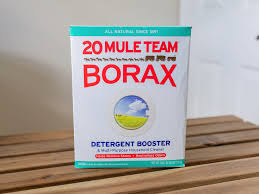 Today borates are used in many products including ant baits, and other insecticidal compounds that target such organisms as fleas, mites, roaches, silverfish and spiders plus selectively targeting the larval forms of some insects. Where To Buy Borax Powder