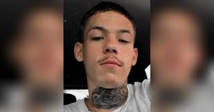 Obituary for Dylan Saula