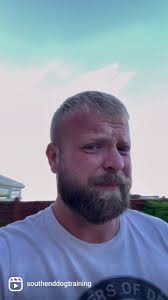 What It’s Like Owning A Labrador...