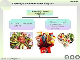 Cara menjaga organ perkumuhan dan penyahtinjaan. Chapter 6 Nutrition 6 1 Types Of Nutrition