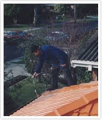 Last statement dated 10 march 2020. Town And Country Roofing Vic Pty Ltd In Werribee Melbourne Vic Roofing Truelocal