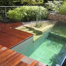 Easy way to make a great modern house with swimming poolin the video, we show you how to build a modern house with a pool. Natural Pools Natural Swimming Pools And Ponds