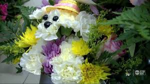 Get directions, reviews and information for lakeland flowers and gifts in lakeland, fl. Florist St Petersburg Fl Flower Delivery St Petersburg Fl