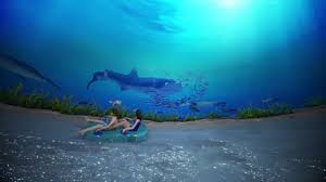Image result for Centrostachys aquatica