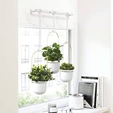 Hanging plants from walls, windows, and doors. Amazon Com Umbra Triflora Hanging Planter For Window Indoor Herb Garden White Black Triple Home Kitchen
