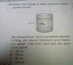 Jika tidak, maka air akan keruh dan menyebabkan tanaman hias menjadi rusak dan ikan ikan banyak yang mati. Seekor Ikan Berada Di Dalam Akuarium Seperti Gambar Berikut Brainly Co Id