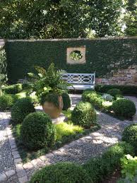 Walled Courtyard Garden With Boxwood And Fig Vine Gardenvinesbeautiful Walled Courtyard Garden Courtyard Gardens Design Small Courtyard Gardens