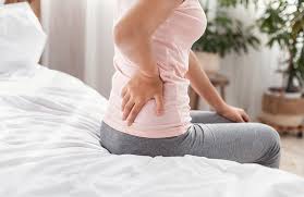 Answers to your back pain questions - The Physio Company