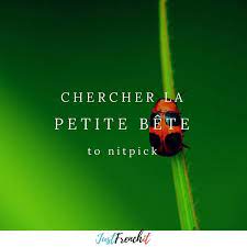 Un de vos meilleurs papiers, excellent ! Pin On French Expressions