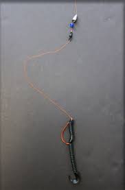 We did not find results for: Top Types Of Bass Fishing Rigs Setup