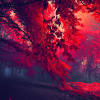 Wallpapers in ultra hd 4k 3840x2160, 8k 7680x4320 and 1920x1080 high definition resolutions. 3