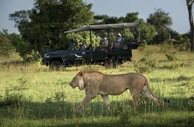 The best way to tour africa is through the african safari tour operators. 8 Top African Safari Vacations Travel Us News
