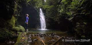 Mi experiencia con la ayahuasca en Ecuador | ChokoTrip | Blog de ...