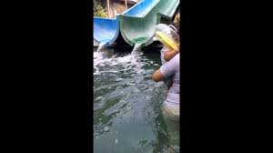 Kolam Renang Cinta Kasih Pilar Cikarang 20160118 Youtube