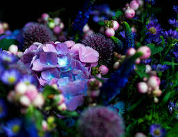 Same day flower delivery is the ultimate choice to help you in putting smile on their faces. Purple Flowers Florist Flowers Delivered Allen S Flower Market