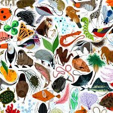 You ought to to find a very much the same products to examine. Charley Harper Store Tree Of Life Tough Case Largest Harper Dealer In The World