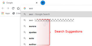 Hoe De Functie Zoeken Automatisch Voltooien In Google Chrome Uit Te Schakelen Naneedigital