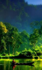 See more ideas about android phone wallpaper, phone wallpaper, pig wallpaper. Try Great Wallpapers For Android Phones