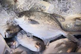Ikan tilapia atau yang lebih dikenal dengan nama ikan nila ternyata memiliki banyak kebaikan untuk tubuh anda. Apakah Ikan Tilapia Buruk Untuk Dikonsumsi Republika Online