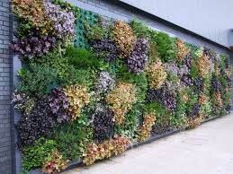 Die Wand Ist Das Ziel Vertikale Garten Drinnen Und Draussen Blatt Blute Mein Garten Vertikaler Garten Gartengestaltung Ideen Garten