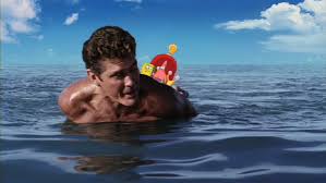 He is most known for playing dr. David Hasselhoff Opens Up About The One Trick That Made Baywatch A Mega Hit