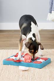 Nina ottosson dog puzzle reviews. 15 Best Dog Puzzle Toys Challenging Interactive Puzzle Toys For Dogs