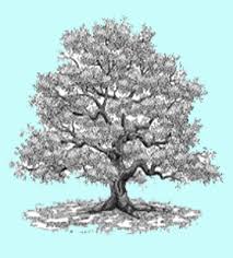 When adoption records are sealed, it can be difficult to get info you need. Adopted Through New Life Adoption Agency In New York Free Adoption Records Adoption Birth Mothers