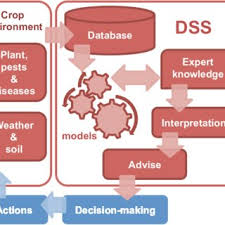 Although chemical pesticides safeguard crops and improve farm productivity, they are increasingly fe. Pdf Helping Farmers Face The Increasing Complexity Of Decision Making For Crop Protection