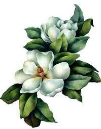 Image Result For Decorative Painting White Magnolia Flowers Flower Painting Flower Art Watercolor Flowers
