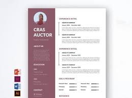Build the perfect cv for free! Best Free Resume Template Professional Resumekraft