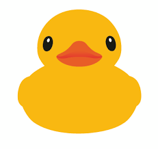 Rubber Duck Png 373 351