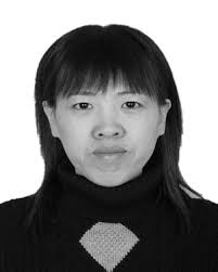 Balanced Homodyne Detector With Independent Phase Control and Noise  Detection Branches