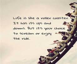 Roller Coaster Relationship Quotes Quotesgram