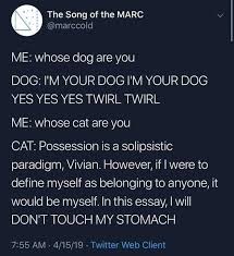 One Meme Two Meme Red Meme Blue Meme Posts Facebook